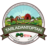 Tarladan Toptan