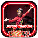 Lagu Populer Tarling Jaipong Tengdung Terbaru APK