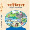Class 10 Maths NCERT Book in H