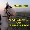 Tarzen's Of Pakistan APK