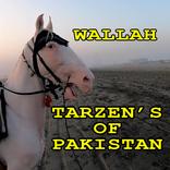 Tarzen's Of Pakistan