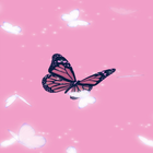 Butterfly Aesthetic Wallpaper Offline icon