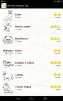 Lets Draw Cats and Dogs gönderen
