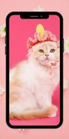 Poster sfondi per gatti hd 4k