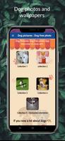 Dog Pictures : Dogs Wallpapers syot layar 1
