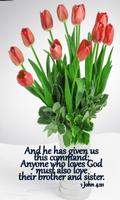 Bible Quotes on Love Affiche