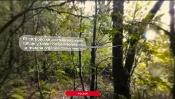 VR-Los bosques cuentan su historia capture d'écran 2