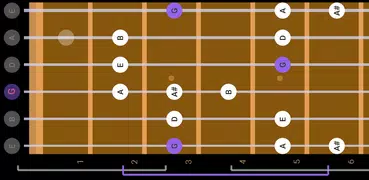 Guitar Scales & Patterns