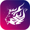 Taurosnet VPN APK