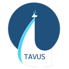 Tavus Innovation icône