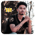 TAY Musica