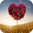3d Heart wallpapers