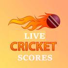 Live Cricket Scores icône