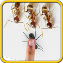 Ant Smasher 2 - Kill them all APK