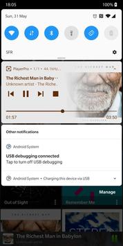 PlayerPro 截图 6