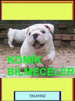 KOMİK EĞLENCELİ BİLMECE LER 포스터