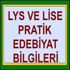 YKS AYT LİSE Pratik Edebiyat D biểu tượng