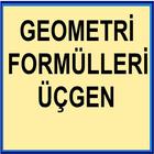 Geometri Formülleri 1 YGS LYS icône