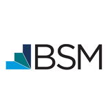 LTD BSM ícone