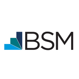 LTD BSM icône