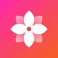 Gallery - Simple and fast