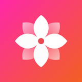 Gallery - Simple and fast icône