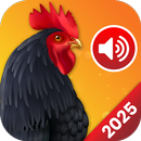 Animal Sounds Birds Ringtones APK
