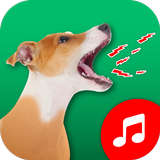 Chien Ringtone papier peint