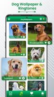 Poster Sfondi di suonerie per cani