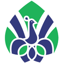 THE SCM SILK - SUPPLIER APK
