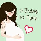 9 Tháng 10 Ngày - Thai Kỳ APK