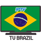 TV Brasil Online ícone
