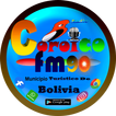 Icona radio coroico