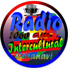 RADIO INTERCULTURAL CARANAVI-icoon