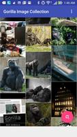 Gorilla Image Collection capture d'écran 1