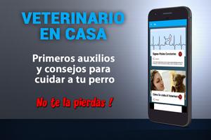 Veterinario En Casa 海報