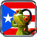 Radios De Puerto Rico En Vivo-APK