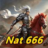Nat 666 ikon