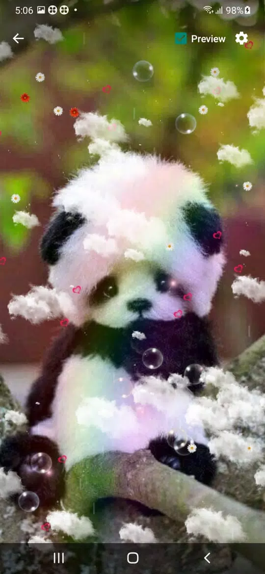 Cute Panda Live Wallpaper APK for Android Download Cute Panda Live Wallpaper APK for Android Download