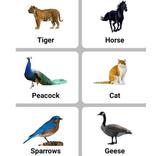 Animal Sounds and Alarms