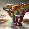 Elephant Wallpaper