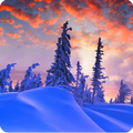 Wallpaper Winter