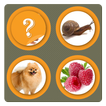 Picture Match-Memory Card Game biểu tượng