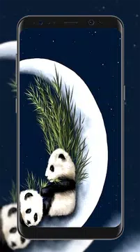 Panda Wallpapers APK  for Android – Download Panda Wallpapers APK Latest  Version from 