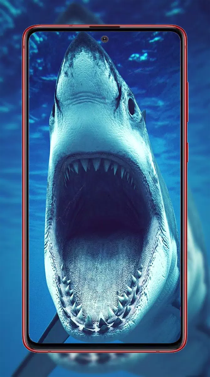 Tải xuống APK Hình nền cá mập cho Android