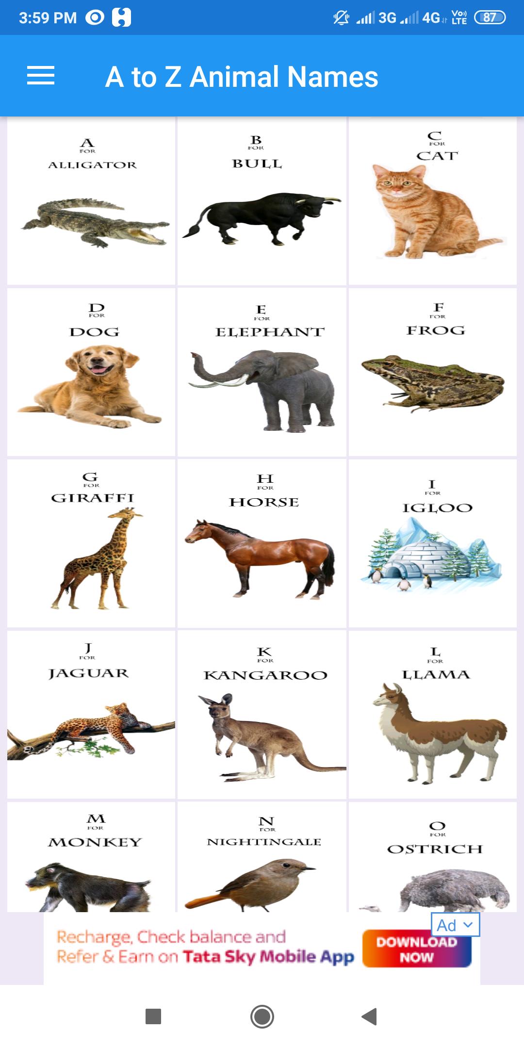 African Animals List A-Z / List Of African Animals ...