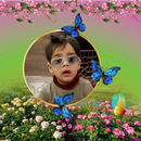 Butterfly Photo Frames Editor: DP, Quotes,Greeting APK