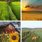 Farming HD Wallpapers иконка