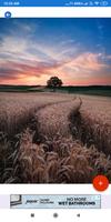 Farming HD Wallpapers скриншот 3
