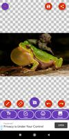 Frog, Turtle Wallpapers screenshot 1